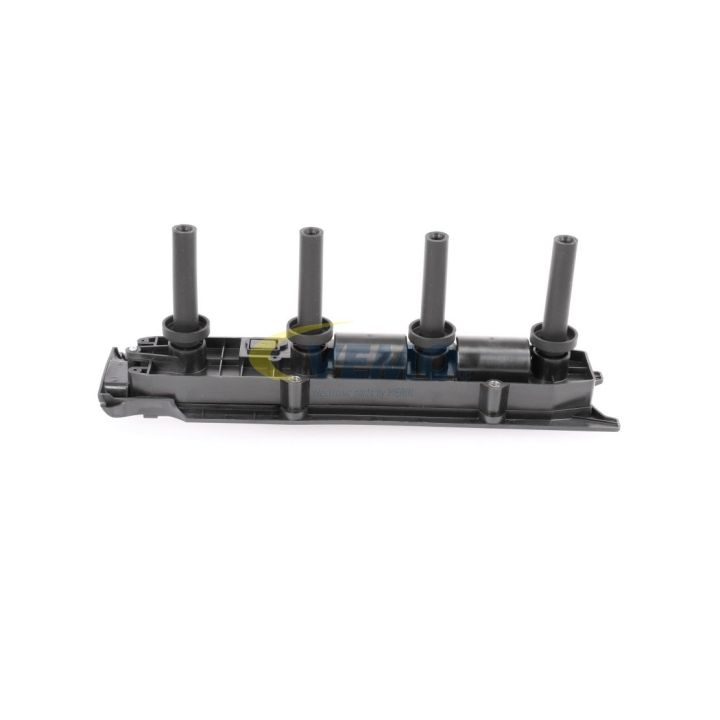 Ritė, uždegimas VEMO V40-70-0068