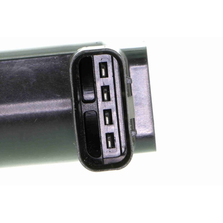 Ritė, uždegimas VEMO V41-70-0001