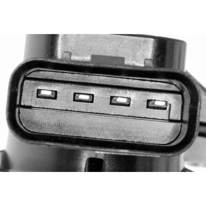 Ritė, uždegimas VEMO V41-70-0002