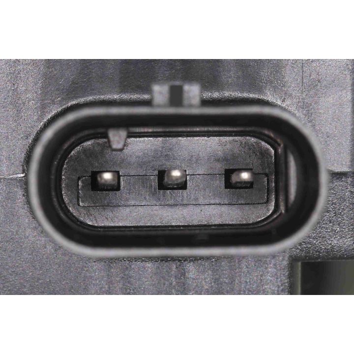 Ritė, uždegimas VEMO V41-70-0003