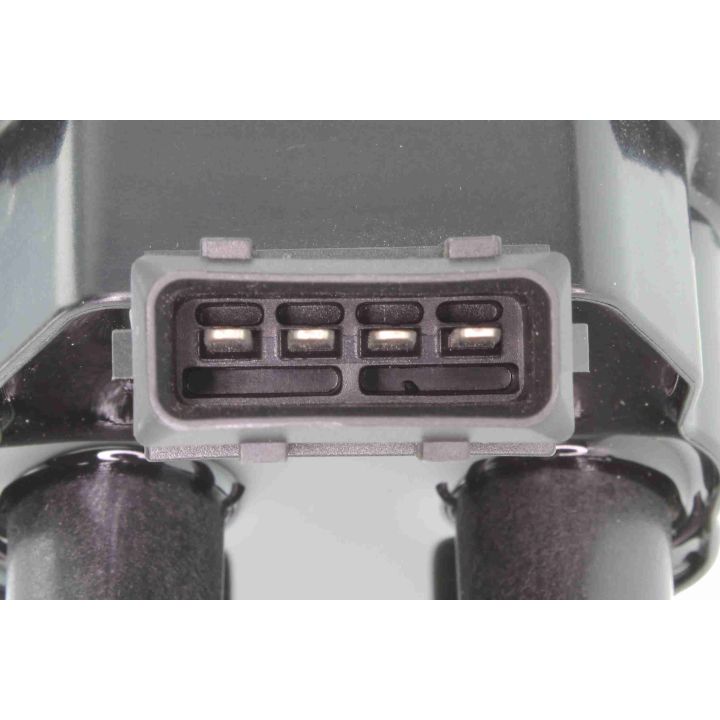 Ritė, uždegimas VEMO V42-70-0002