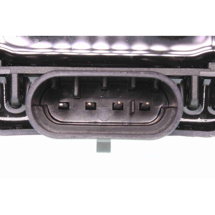 Ritė, uždegimas VEMO V46-70-0002