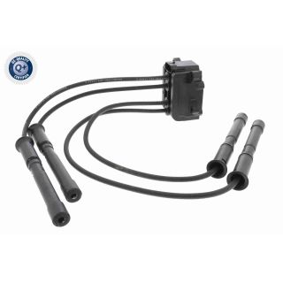 Ritė, uždegimas VEMO V46-70-0012