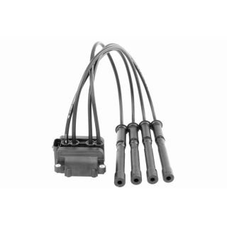 Ritė, uždegimas VEMO V46-70-0013