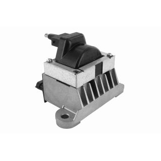 Ritė, uždegimas VEMO V46-70-0014