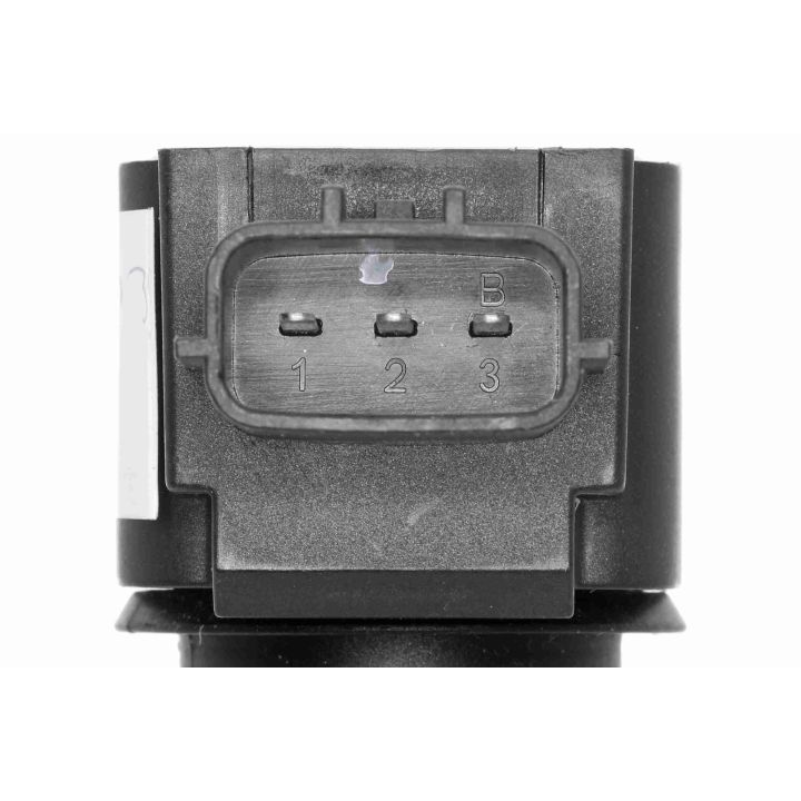 Ritė, uždegimas VEMO V46-70-0039