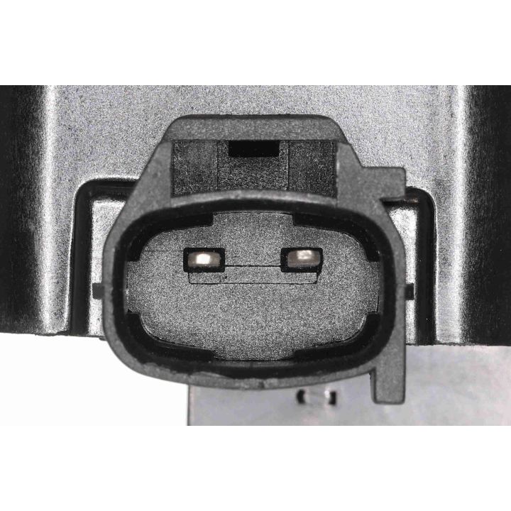 Ritė, uždegimas VEMO V51-70-0038