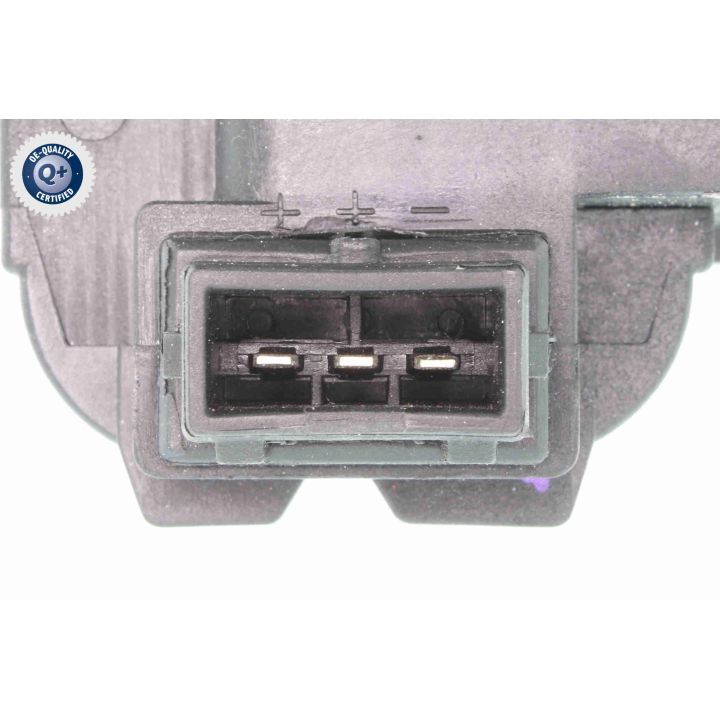 Ritė, uždegimas VEMO V95-70-0002