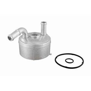 Alyvos aušintuvas, automatinė transmisija VEMO V20-60-1560