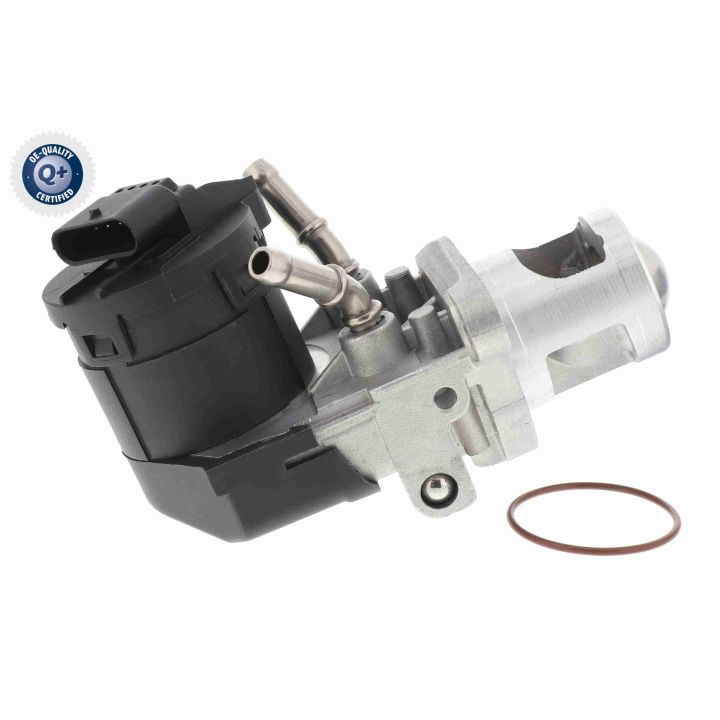 ERG vožtuvas VEMO V20-63-0012