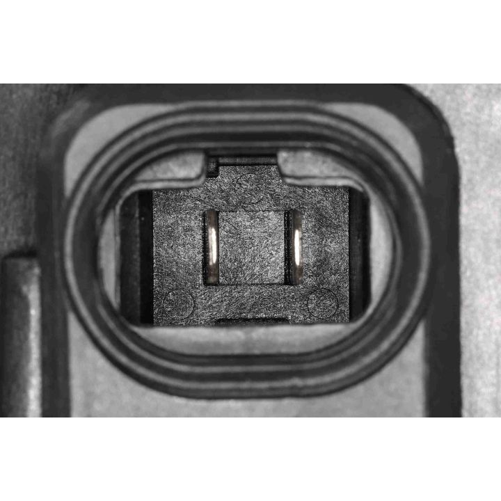 Vidaus pūtiklis VEMO V21-03-0004