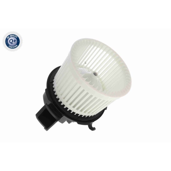 Vidaus pūtiklis VEMO V24-03-0001