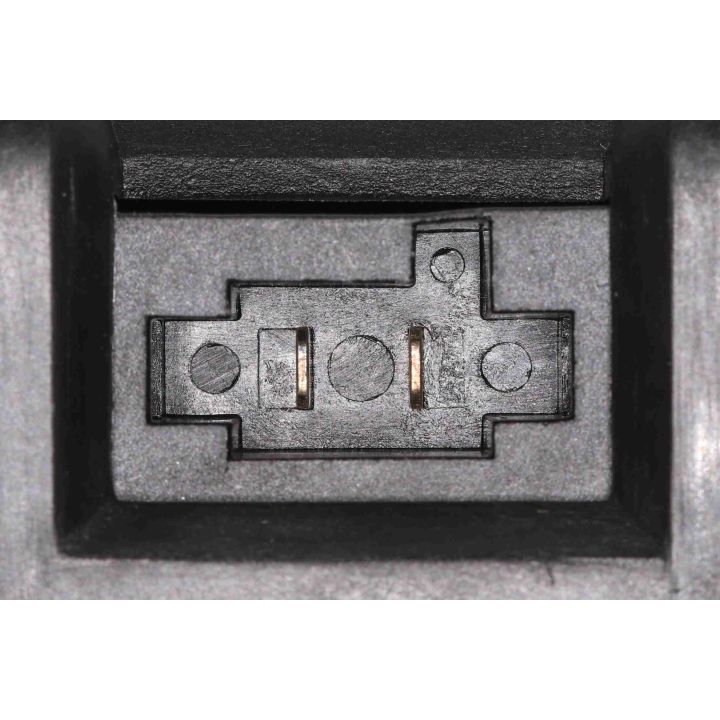 Vidaus pūtiklis VEMO V46-03-1392