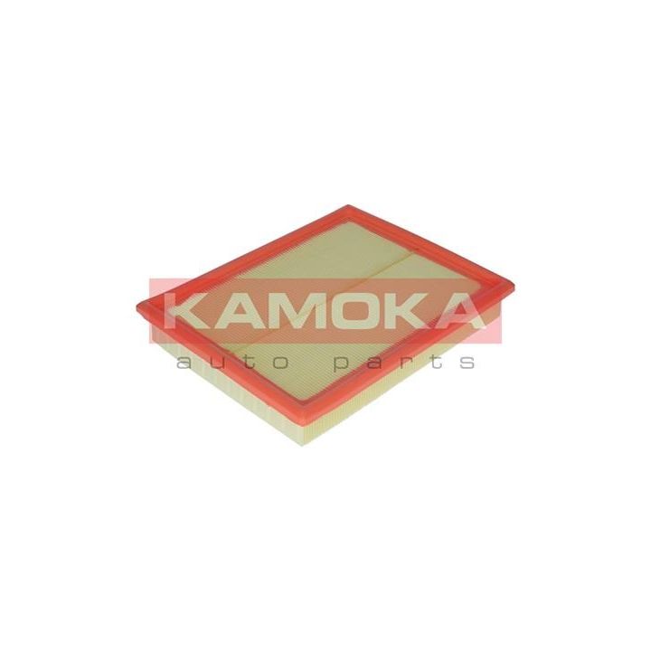 Oro filtras KAMOKA F204701