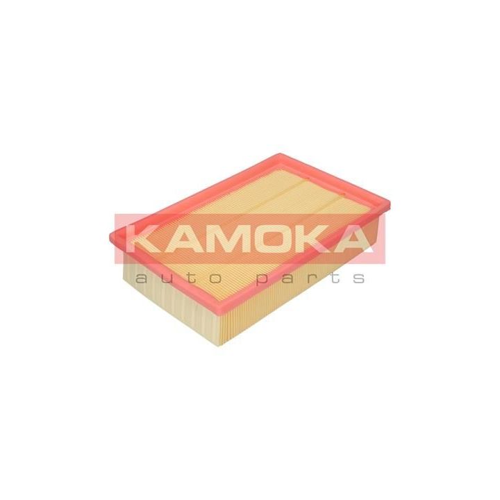 Oro filtras KAMOKA F204801