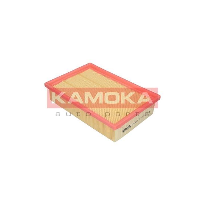 Oro filtras KAMOKA F204801