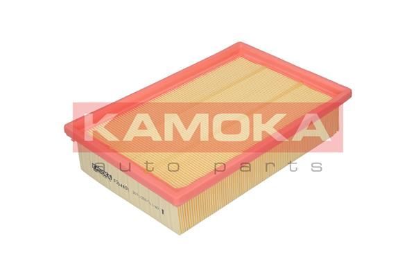 Oro filtras KAMOKA F204801