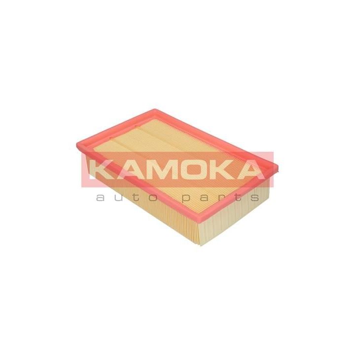 Oro filtras KAMOKA F204801