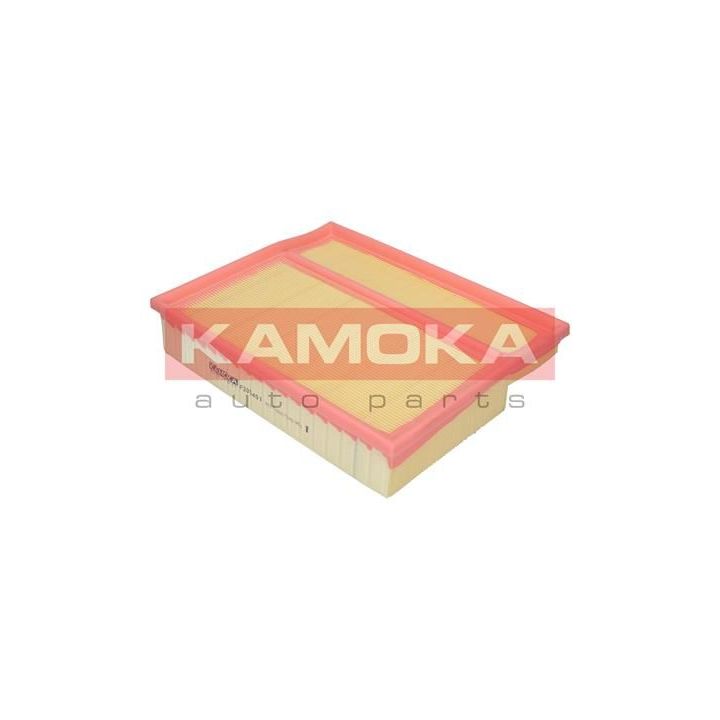 Oro filtras KAMOKA F205401