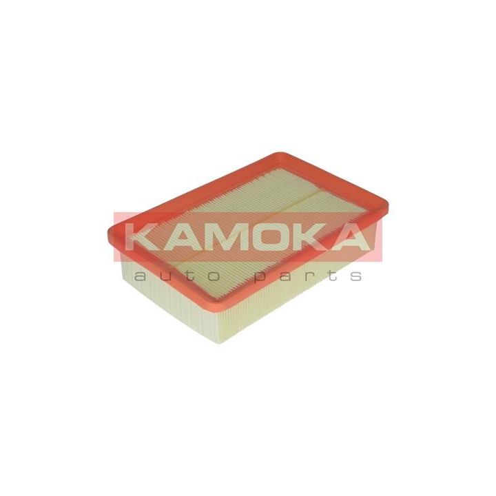 Oro filtras KAMOKA F205801