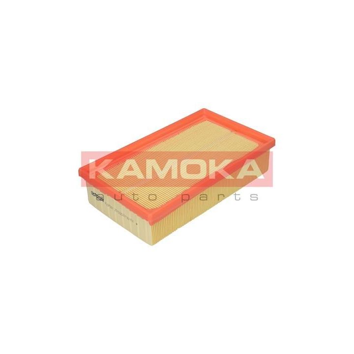 Oro filtras KAMOKA F207301