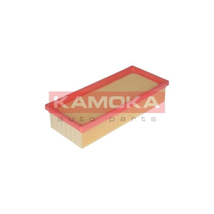 Oro filtras KAMOKA F209601