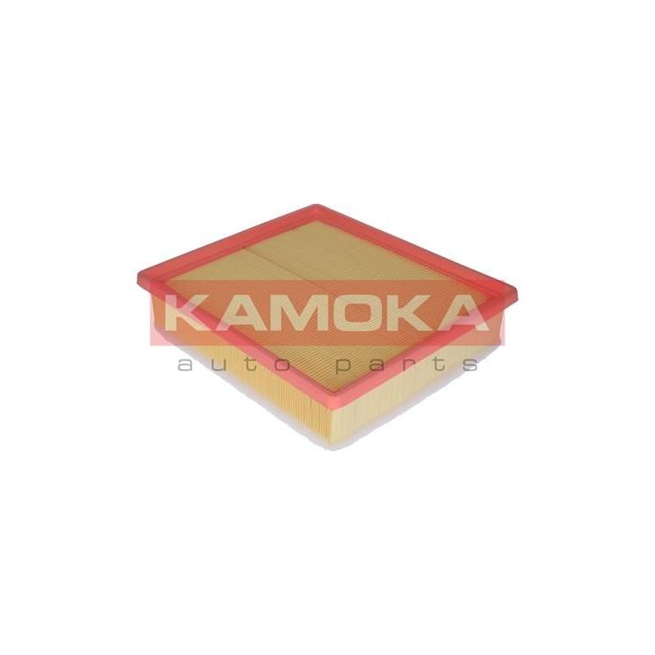 Oro filtras KAMOKA F209701