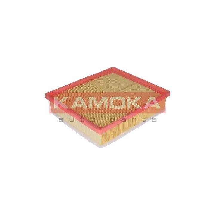 Oro filtras KAMOKA F209701