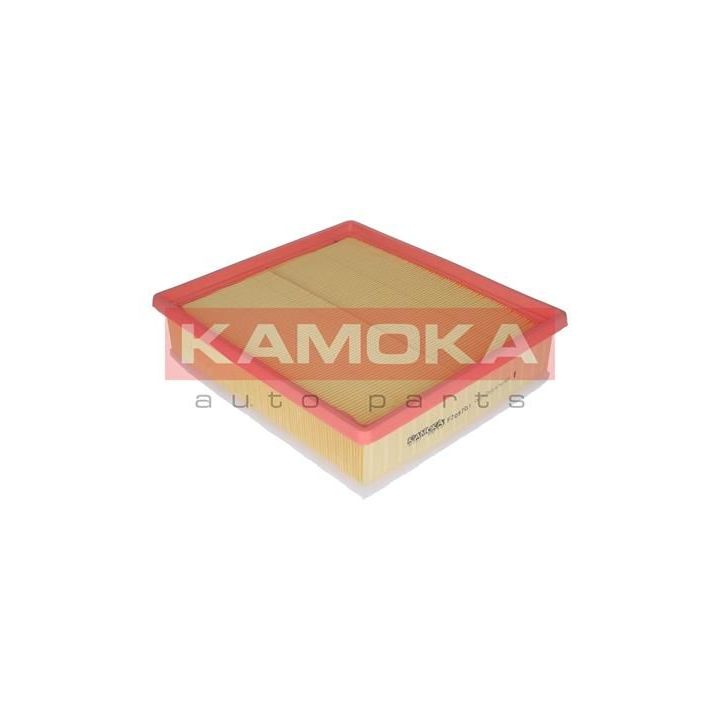 Oro filtras KAMOKA F209701