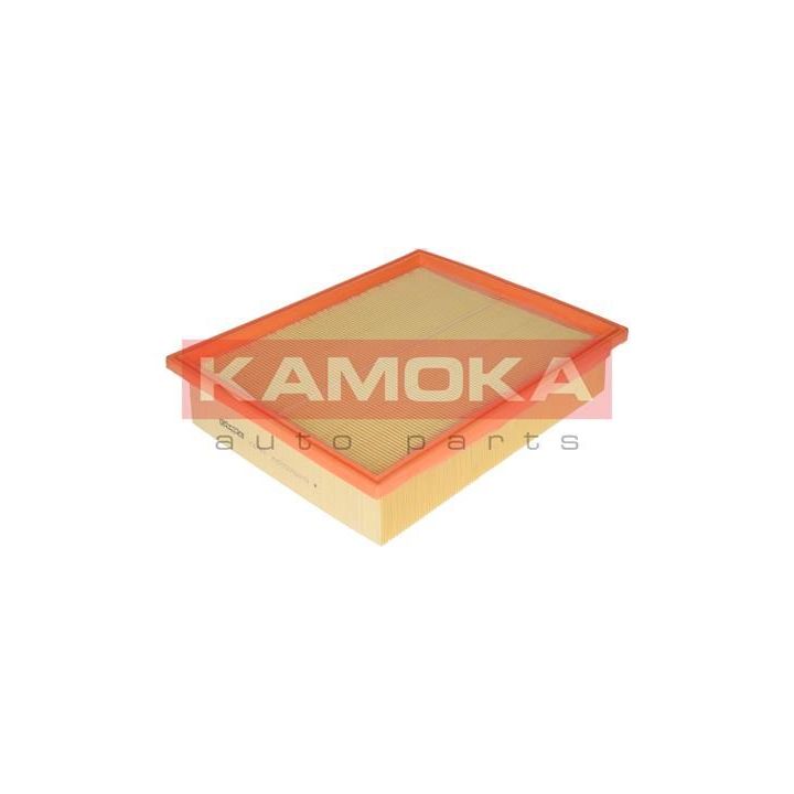Oro filtras KAMOKA F209901