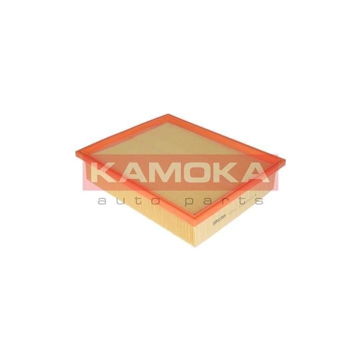 Oro filtras KAMOKA F209901