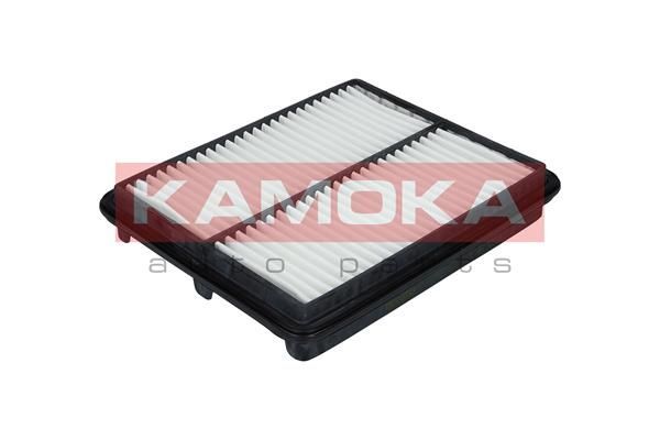 Oro filtras KAMOKA F210001