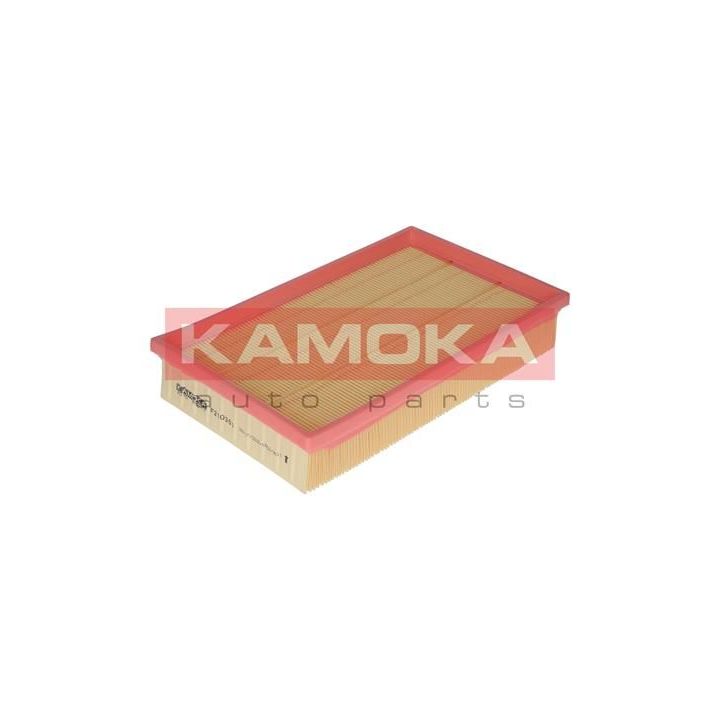 Oro filtras KAMOKA F210301