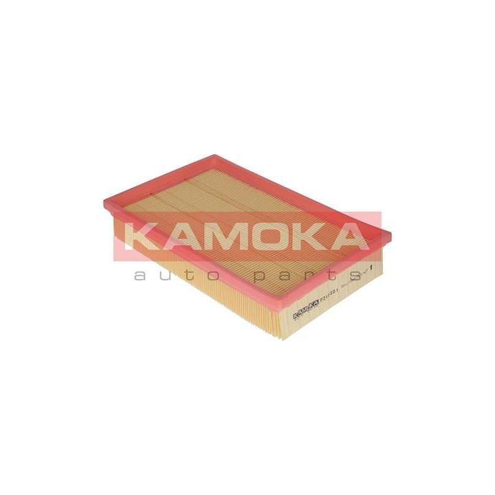 Oro filtras KAMOKA F210301