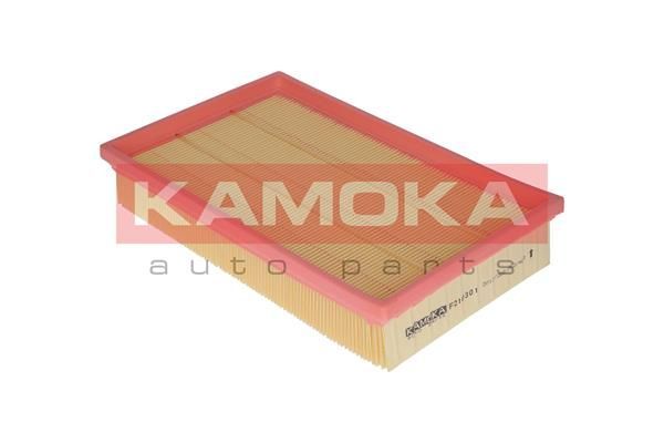 Oro filtras KAMOKA F210301