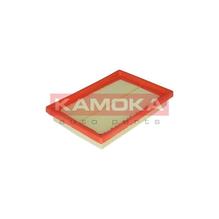 Oro filtras KAMOKA F210501
