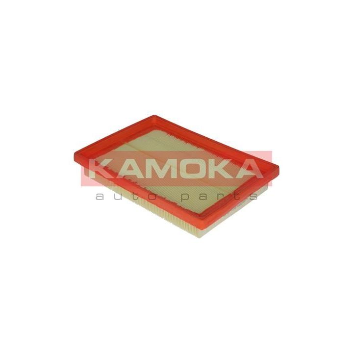Oro filtras KAMOKA F210501