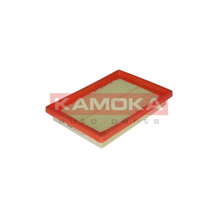 Oro filtras KAMOKA F210501