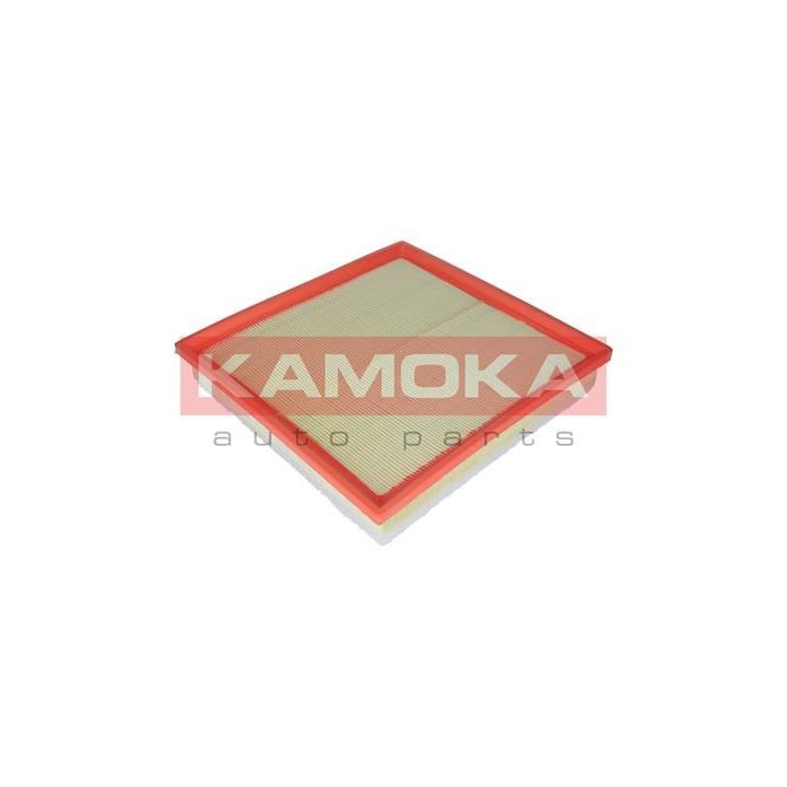 Oro filtras KAMOKA F211101