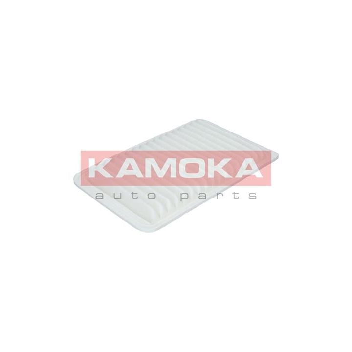 Oro filtras KAMOKA F211801