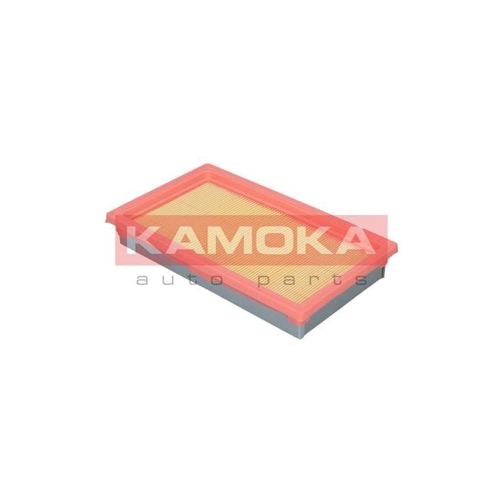 Oro filtras KAMOKA F211901