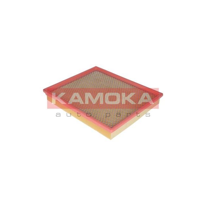 Oro filtras KAMOKA F212001
