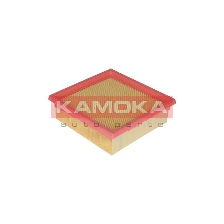 Oro filtras KAMOKA F213601