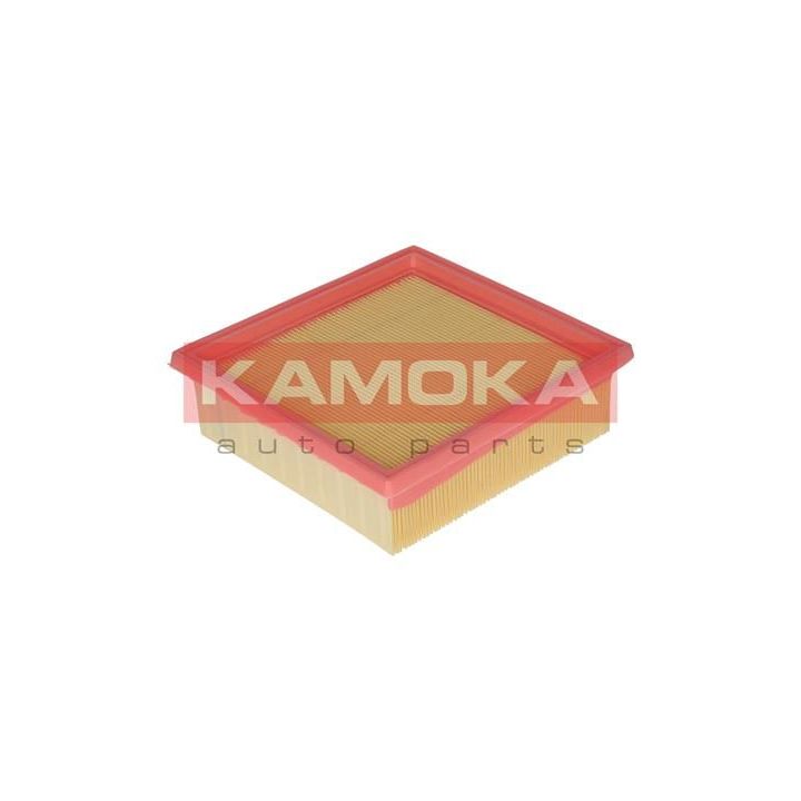Oro filtras KAMOKA F213601