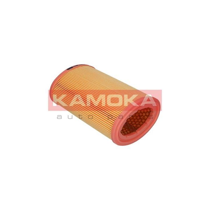 Oro filtras KAMOKA F213801
