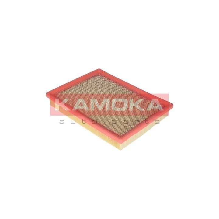 Oro filtras KAMOKA F216801