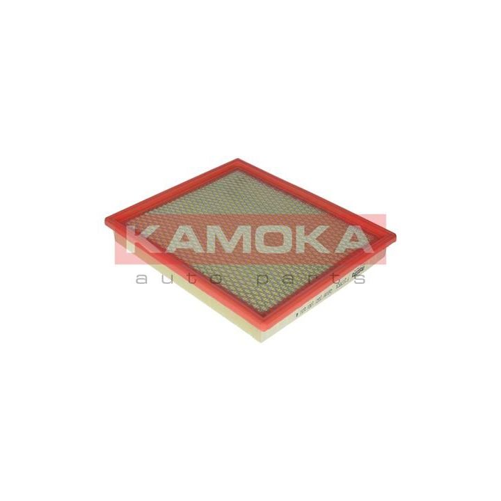Oro filtras KAMOKA F217001