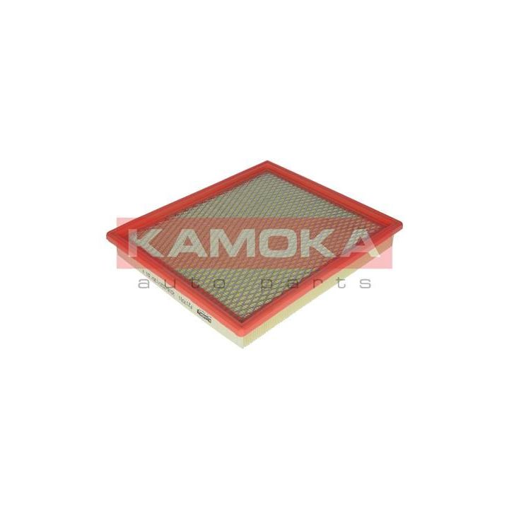 Oro filtras KAMOKA F217001