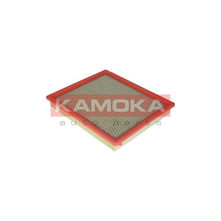 Oro filtras KAMOKA F217001