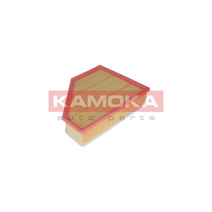Oro filtras KAMOKA F219701